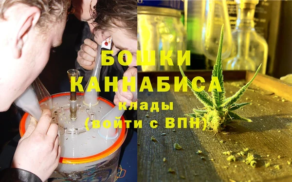прущие грибы Курчалой
