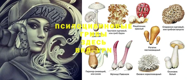 кокс Пестово