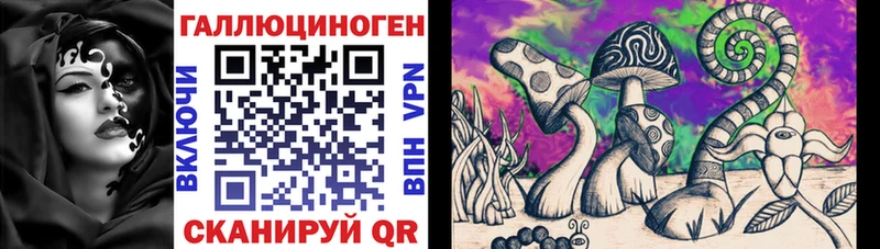 Псилоцибиновые грибы Psilocybe как найти закладки Себеж
